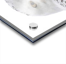 DSC 1876 2 Impression Acrylique