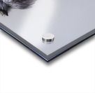 JBS 3105 Acrylic print