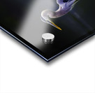 JBS 1706 2 Acrylic print