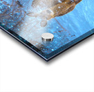 JBS 0395 Acrylic print