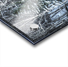 DSC 5638 Impression Acrylique