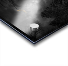 Z62 0237  Acrylic print