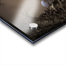 Z62 0235 2  Impression Acrylique