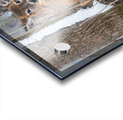 JBS 8854 Impression Acrylique