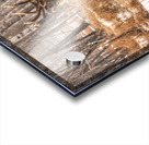 JBS 4996  Acrylic print