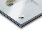 JBS 9346 2 Impression Acrylique