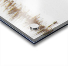 JBS 8846 Impression Acrylique