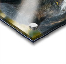 JBS 9093 Impression Acrylique