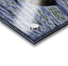 JBS 23862 Impression Acrylique