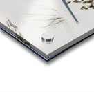 JBS 8781 Acrylic print