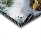 JBS 4767 Impression Acrylique