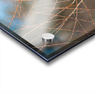 JBS 8279 Acrylic print