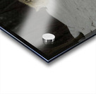 JBS 9056 Acrylic print