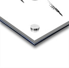 loons Impression Acrylique