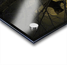 JBS 5294 2 Acrylic print