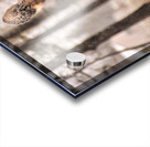 JBS 4896  Impression Acrylique