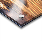 JBS 5877  Impression Acrylique