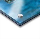 jbs 5420-2 Impression Acrylique