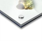 JBS 9269 Impression Acrylique