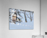 DSC 5553  Acrylic Print