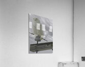 DSC 1902  Acrylic Print