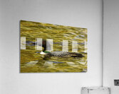 JBS 2224 Impression acrylique