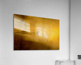 DSC 1717  Acrylic Print