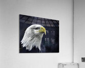 JBS 1282  Acrylic Print