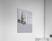 DSC 1897 Acrylic Print