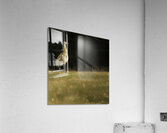 JBS 0909 Impression acrylique