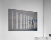 DSC 5806 Acrylic Print