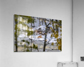  JBS5840 1 Impression acrylique