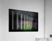 ZJS 7780  Acrylic Print