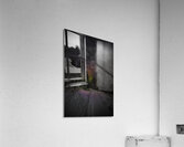 ZJS 6936  Acrylic Print