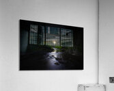 JBS 2058  Acrylic Print