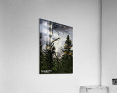 Eagle-Gogama Impression acrylique