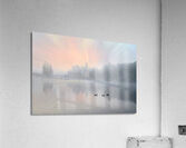 ZJS 8325  Acrylic Print