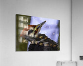 JBS 5301  Acrylic Print