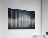 DSC 5614  Acrylic Print