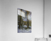 JBS 5217 Impression acrylique