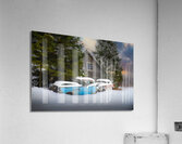 ZJS 9141  Acrylic Print