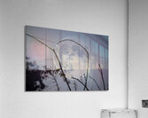 ZJS 8305  Acrylic Print