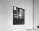 ZJS 8300  Acrylic Print