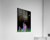 JBS 1940  Acrylic Print