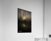 JBS 4756  Acrylic Print