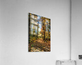 JBS 7125  Impression acrylique