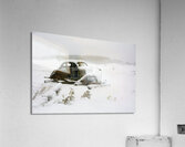 JBS 5025 Acrylic Print