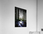 JBS 2030 Impression acrylique