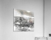 JBS 4080  Acrylic Print