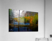  JBS4221  Acrylic Print